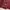 Celana Basket Converse Maroon photo 5