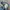 Y2K Grunge Ripped jeans Wanita blue photo 5