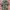 BDU Woodland 80’s US Army - Small Regiular photo 1