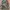 BDU Woodland 80’s US Army - Medium Regular photo 1