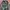 M-65 Field Jacket Woodland - Medium Regular
