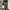 Cargo Camo G-Wenty-tex photo 1