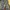 Cargo Camo G-Wenty-tex photo 4