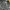 Cargo Camo G-Wenty-tex photo 5