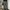 Cargo Camo G-Wenty-tex photo 3