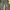 Cargo Camo G-Wenty-tex photo 6