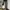 Cargo Camo G-Wenty-tex photo 2