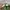 cap u s army vietnam war og 106 hot weater field photo 5