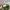 cap u s army vietnam war og 106 hot weater field photo 6