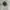 cap u s army vietnam war og 106 hot weater field photo 1