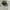 cap u s army vietnam war og 106 hot weater field photo 2