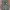 Jungle Fatigue Slant Pocket photo 1