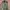 M-65 Field Jacket -Small Regular photo 1