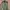 M-65 Field Jacket -Small Regular