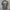 Fred Perry x Stussy SM4175  photo 1