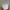 Jean-Michel Basquiat Minimalist Futurist Hat Pria white photo 7