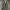 M-65 Field Jacket by Propper MFG. Co - Small Short photo 1