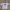 Jersey Real Madrid photo 1