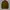 INDIAN Casual Wool Jacket  photo 1