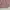Lacoste Casual Shirt dress Wanita pink photo 2