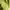 Streetwear Suit Pria green photo 5