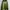 Streetwear Suit Pria green photo 6