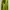 Streetwear Suit Pria green photo 4