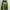 Streetwear Suit Pria green photo 8