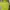 Streetwear Suit Pria green photo 1