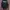 OVERSIZE  photo 6