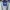 Jacket Vintage Starter Nfl Lion photo 6