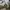 Adidas Superstar photo 3