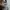 Adidas Superstar photo 6