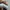 Adidas Superstar photo 7