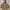 New Balance Streetwear Sportswear Parka Pria tan photo 7