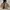 New Balance Streetwear Sportswear Parka Pria tan photo 6