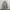 Hoodie carhartt Spellout photo 1