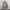 Hoodie carhartt Spellout photo 5