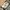 New Balance Sportswear Sneakers Pria gray photo 1