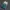 Adidas Spezial Handball Green Pink Velvet Size 39 photo 2