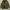 Wacko Maria Avant Garde Casual Trench coat Pria khaki photo 7