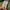 Streetwear Sportswear Casual shirt Pria khaki photo 4