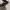Adidas neo questar rise photo 2