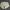 SUETERCLOTH Liam Oversize Crop Cardigan Outer knit photo 1