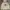 Tommy Hilfiger Minimalist Casual Hoody Pria cream photo 1