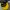 Topi Official Pokemon Pikachu AOV photo 5