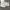 Alexander McQueen Streetwear Luxury Sneakers Wanita white photo 1