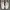 Alexander McQueen Streetwear Luxury Sneakers Wanita white photo 3
