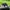 Nike Air Jordan 1 Mid Zen Master  photo 3