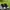 Nike Air Jordan 1 Mid Zen Master  photo 1